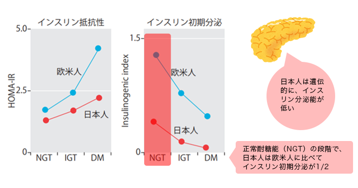 図1　欧米人と日本人のインスリン感受性と分泌能の比較