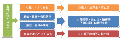 動脈硬化が進行すると？