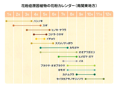 花粉症原因植物の花粉カレンダー（南関東地方）
