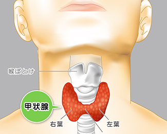 甲状腺 が ん 症状