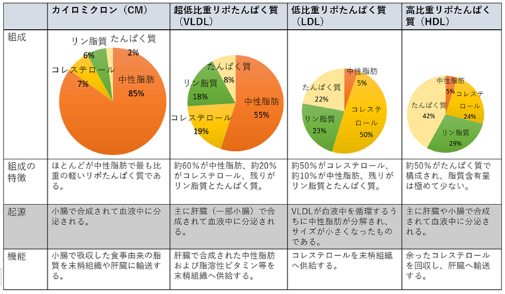 脂質異常症 | 健診・人間ドックで要精密検査・要診察（治療）有の方